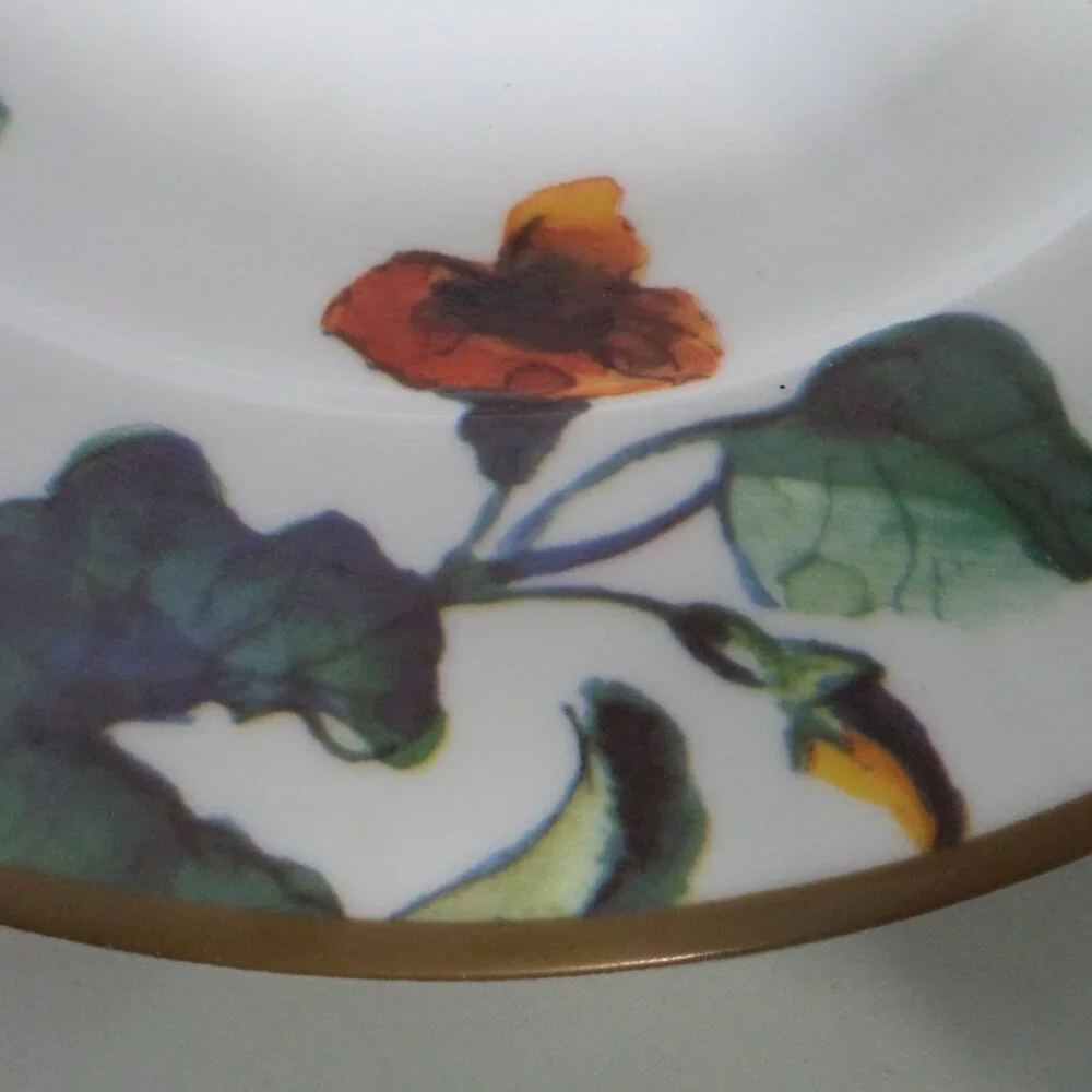 Ciroa Pumpkin Autumn Fall Thanksgiving Holiday Dinner Plate Set 6 Porcelain 11